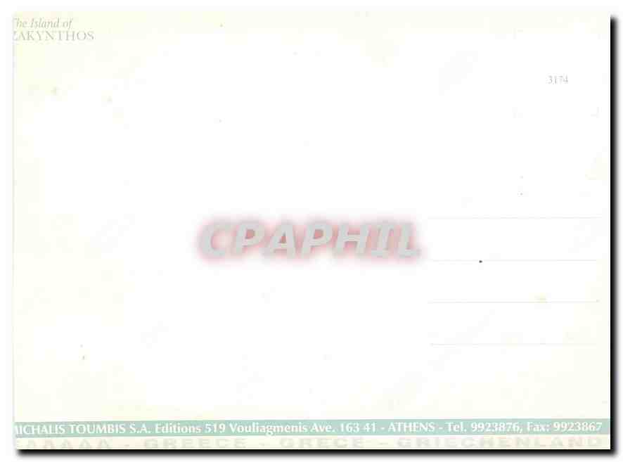 CPM Caretta Caretta Tortue — Back
