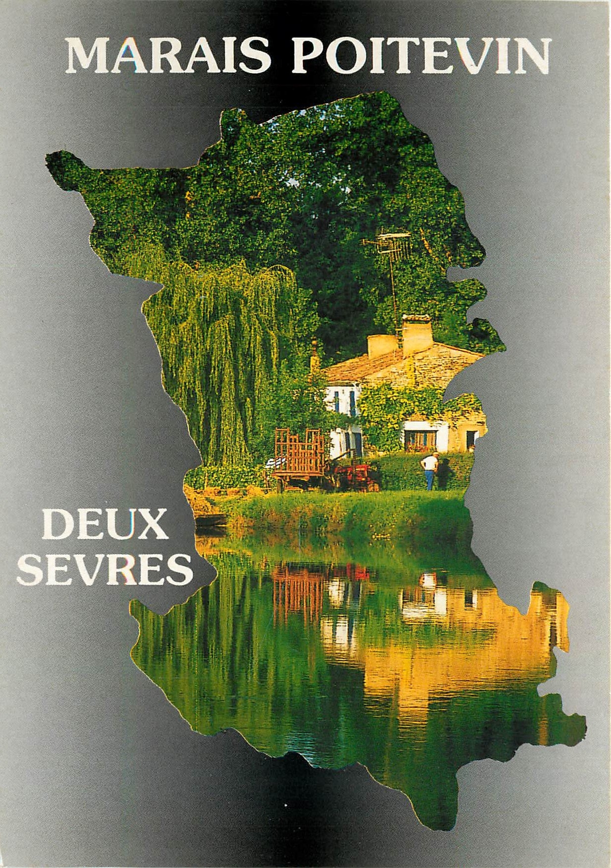 CPM Marais Poitevin Deux Sevres La cathedrake de la Verdure 