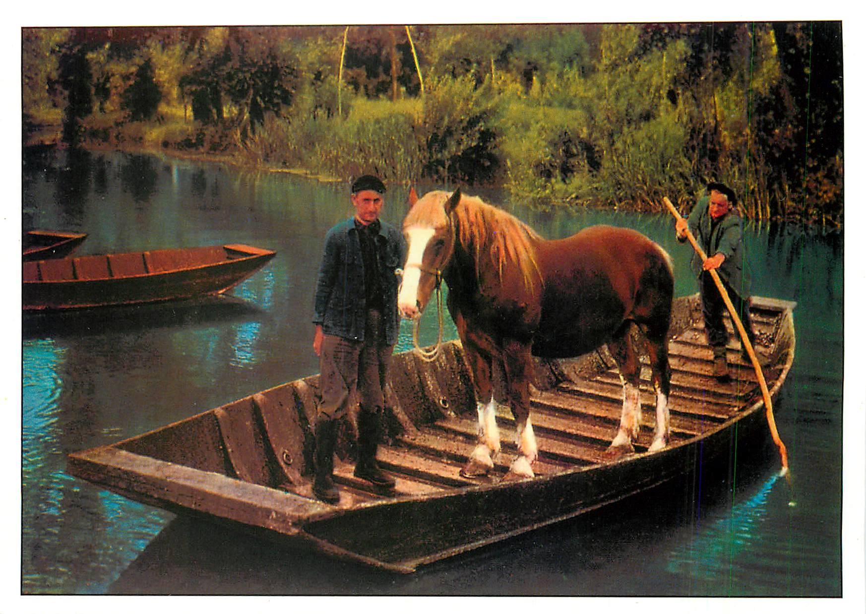 CPM Le Marais Poitevin Transport d'un cheval au pacage 