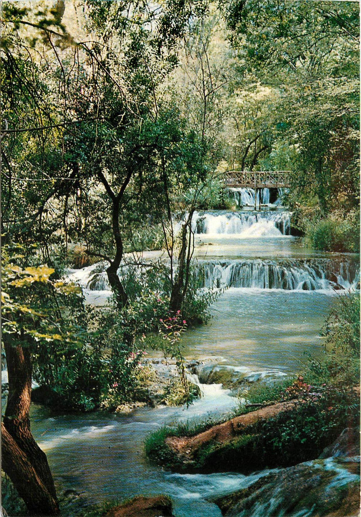 CPM Monasterio de Piedra Zaragoza Parque de Vaifillos 