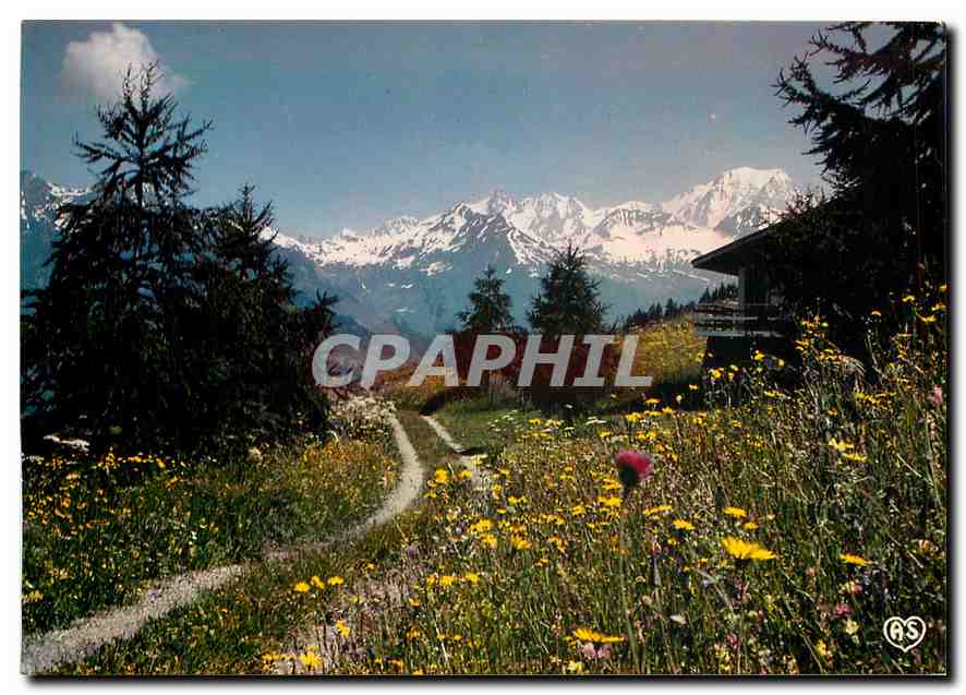 CPM Images de nos montagnes Au pays du Mont Blanc 