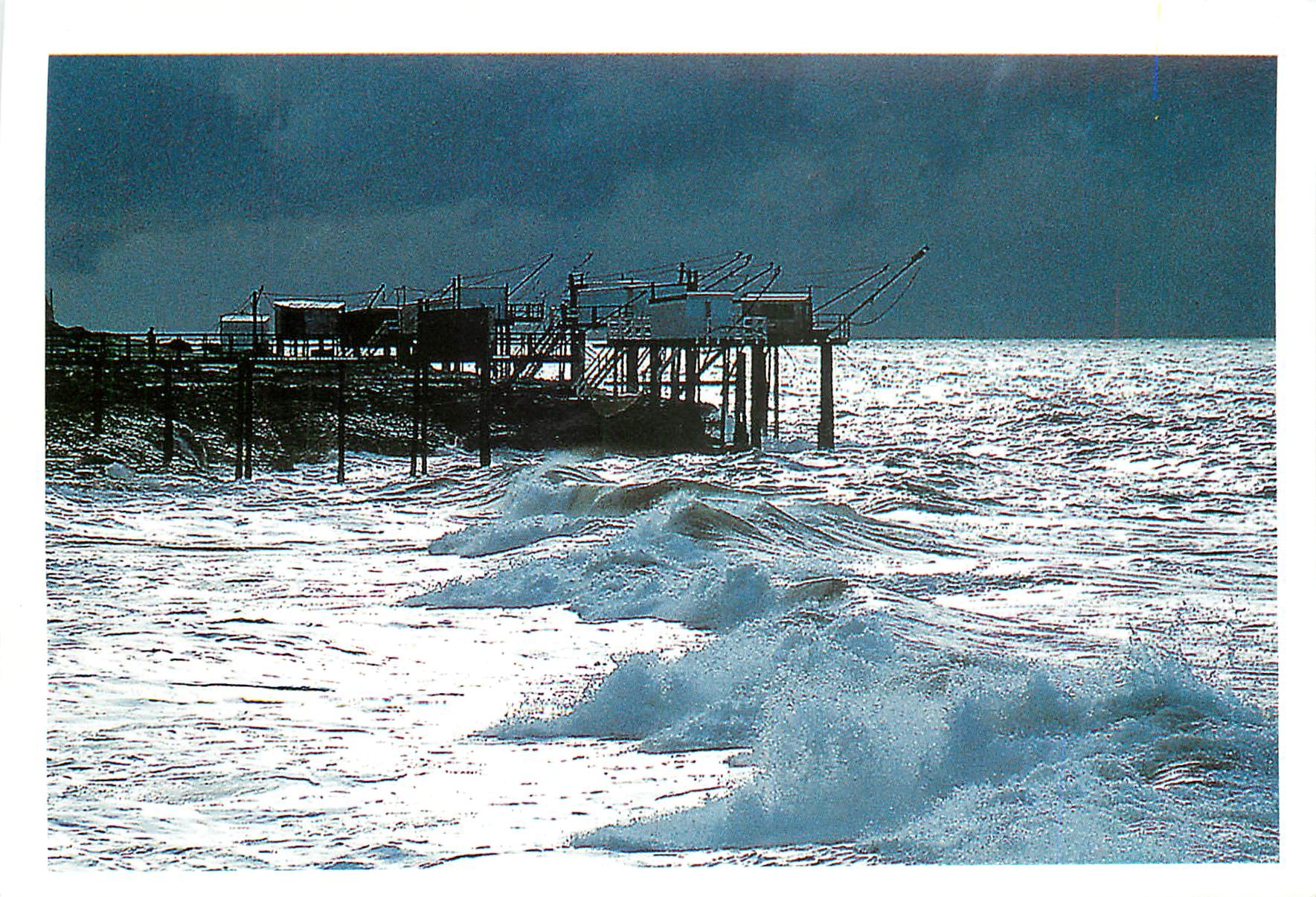 CPM Les Carrelets Saint Palais sur Mer 