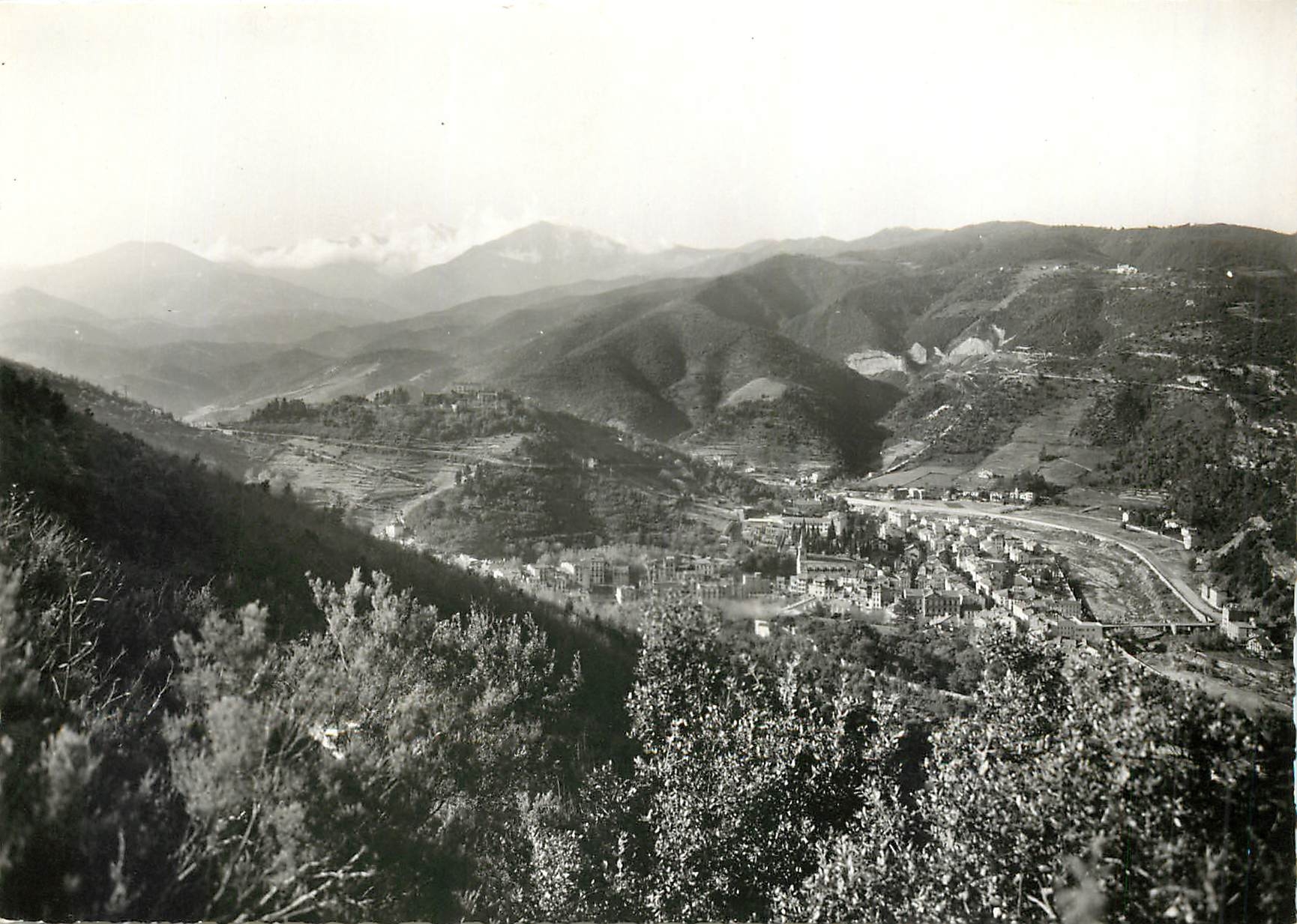 CPM Amelie les Bains PO Perle des Pyrenees 