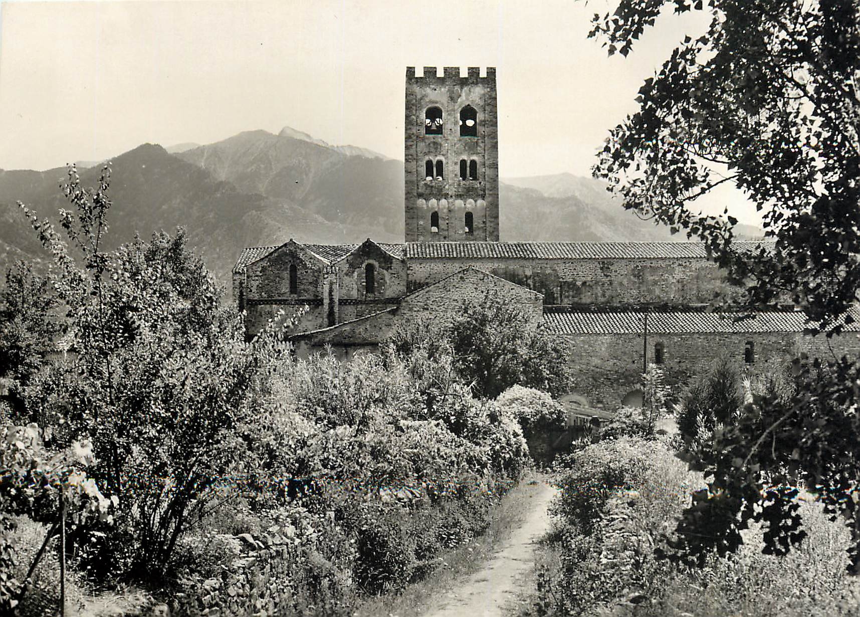 CPM St Michel de Cuxa PO Vue generale et Canigou 