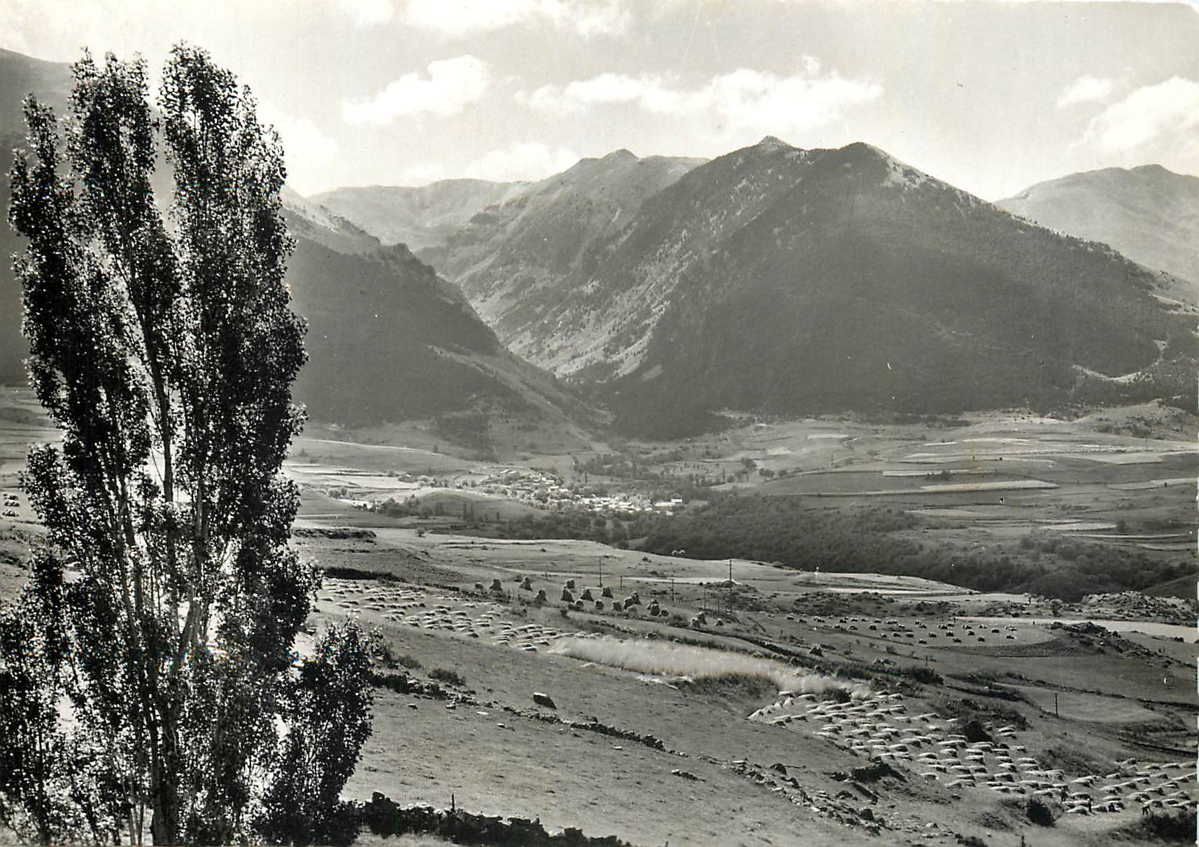 CPM Environs de Mont Louis Font Romeu PO 