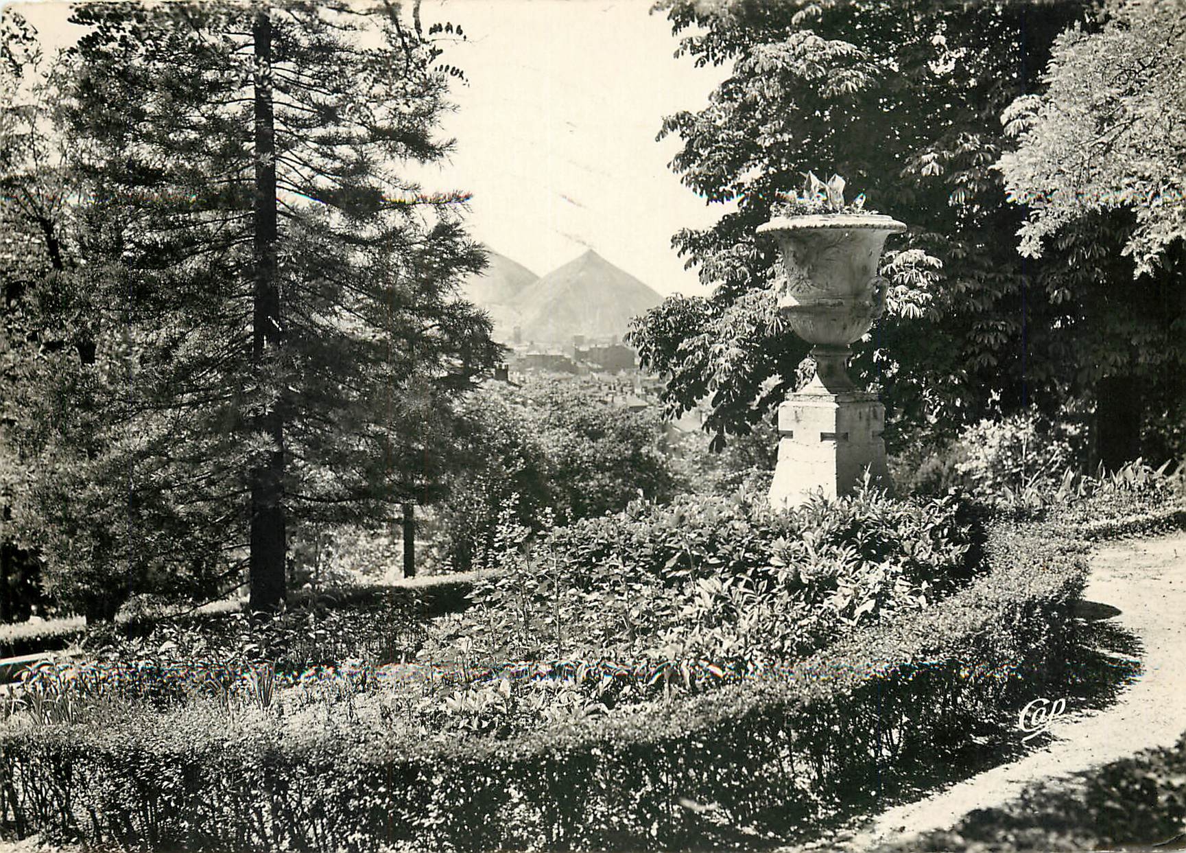 CPM Saint Etienne Le Jardin des Plantes 