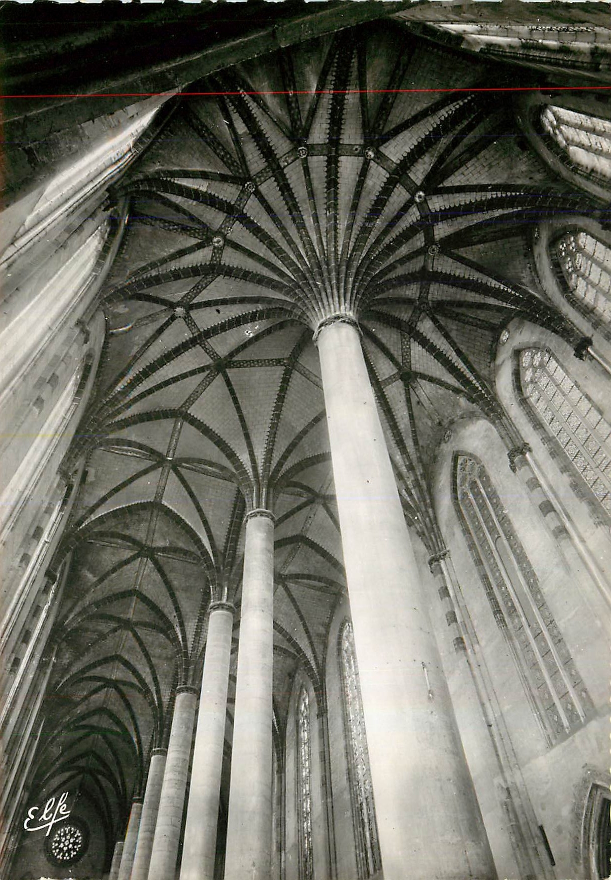 Le Palmier du Chevet de l'Église — Couvent des Jacobins — Toulouse
