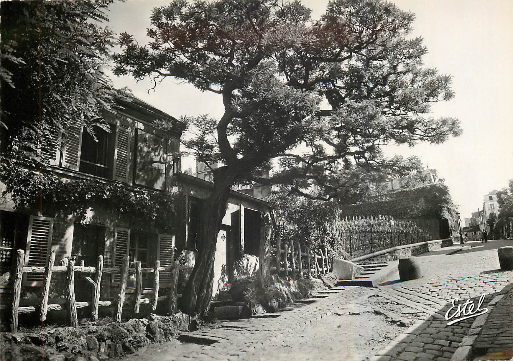 CPM Paris Le Vieux Montmarte le Cabaret du Lapin Agile et la Vigne de Montmartre 