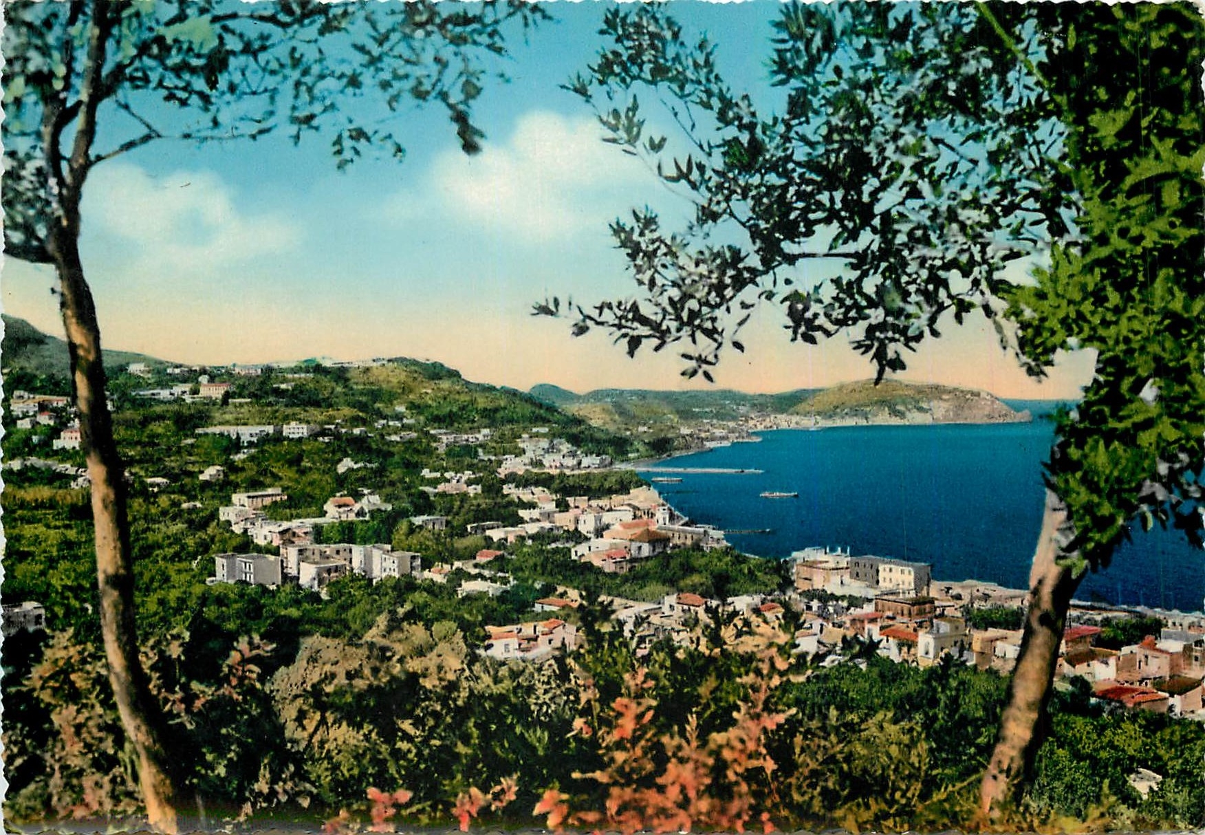 CPM Casamicciola Panorama vue generale Gesamtansicht 