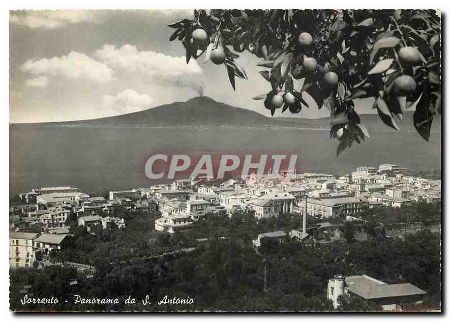 CPM Sorrento Panorama da S Antonio 