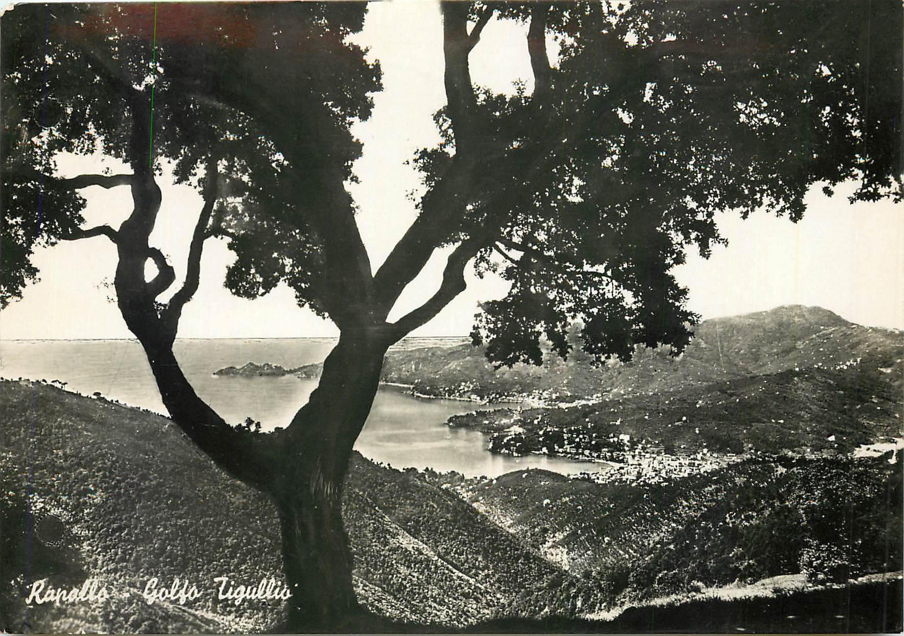 CPM Rapallo Golfa Tigullio 