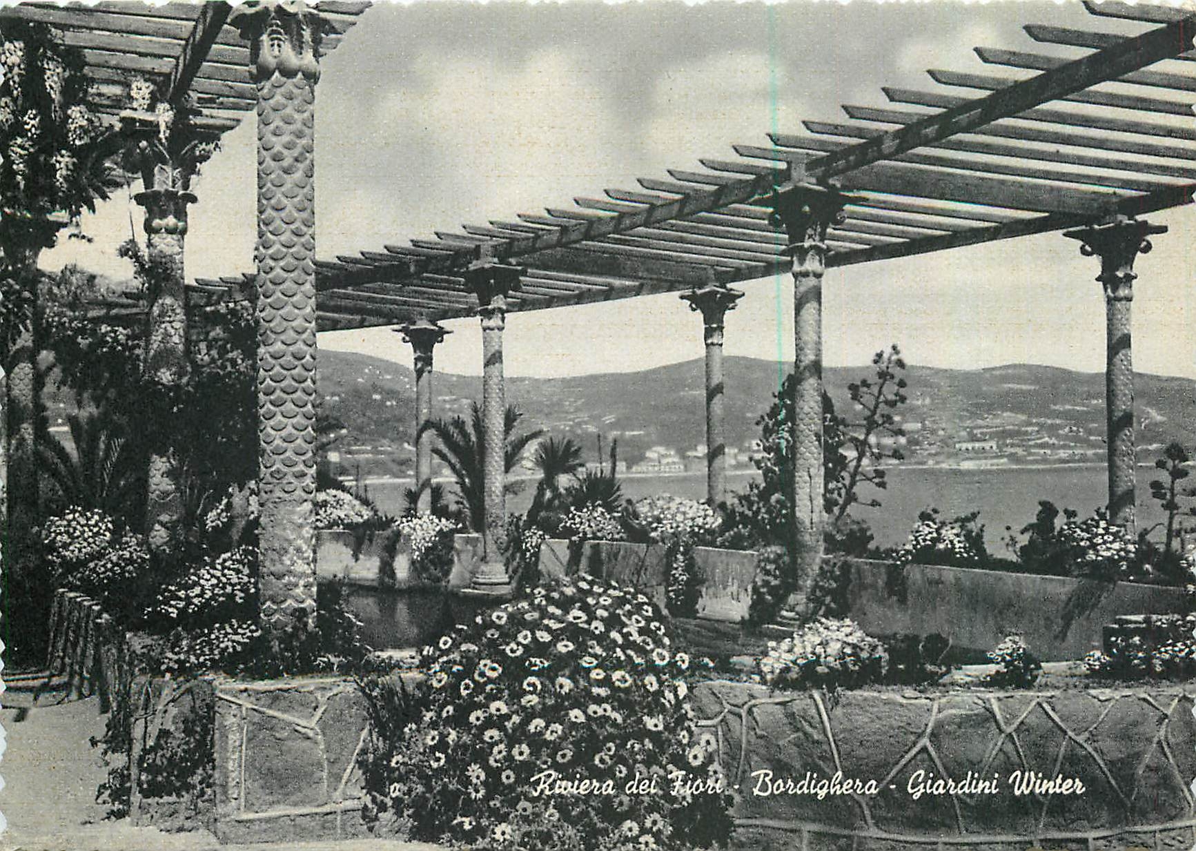 CPM Riviera dei Fiori Bordighera Giardini Winter 
