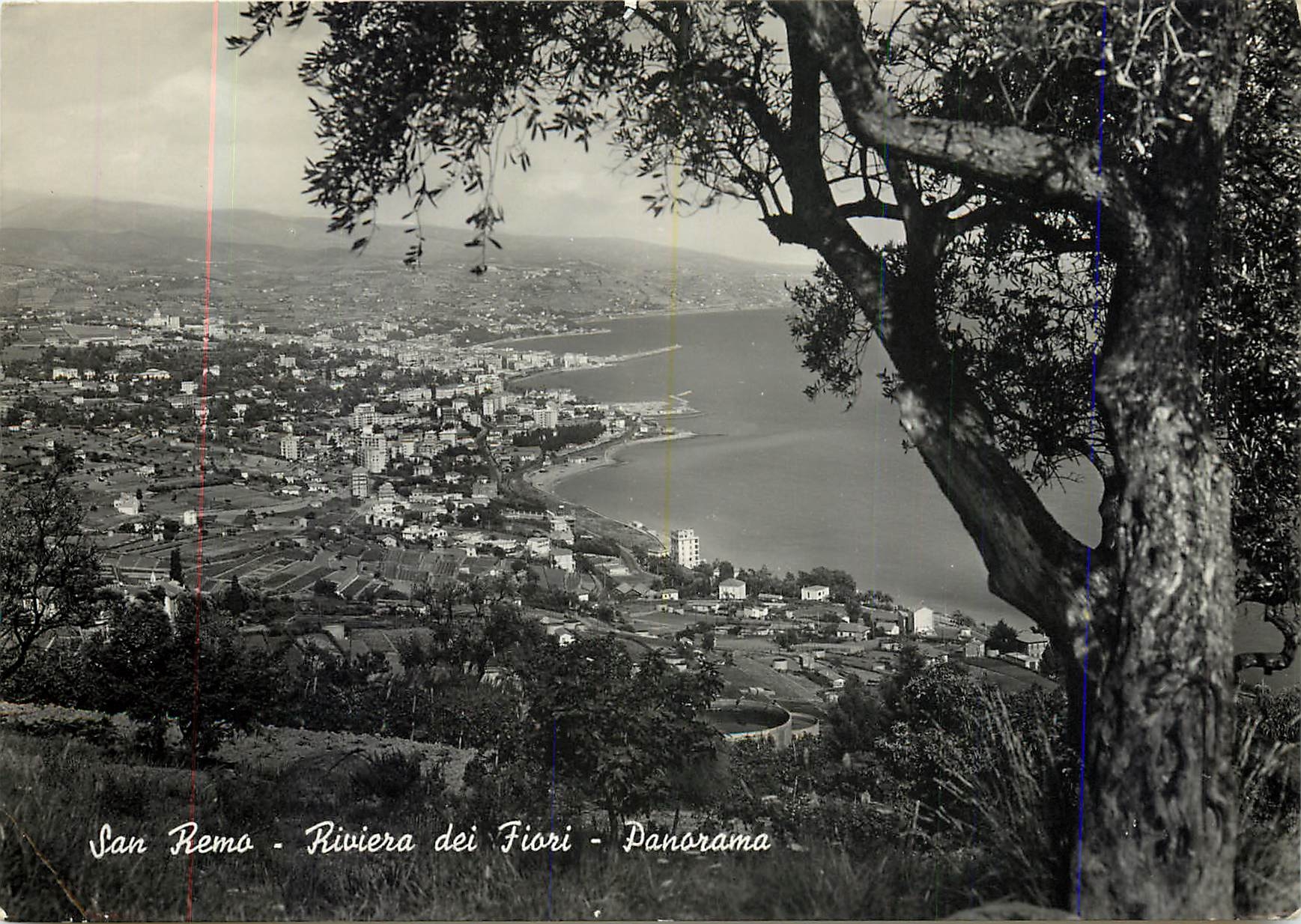 CPM San Remo Riviera dei Fiori Panorama 