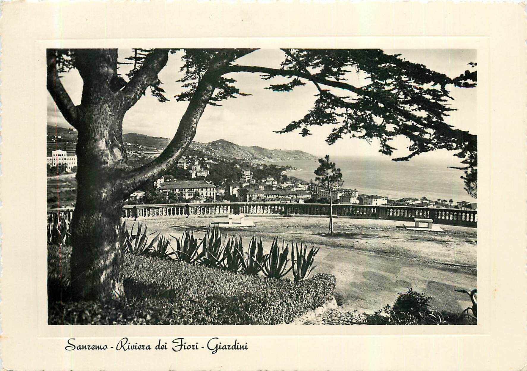 CPM Sanremo Riviera dei Fiori Giardini 