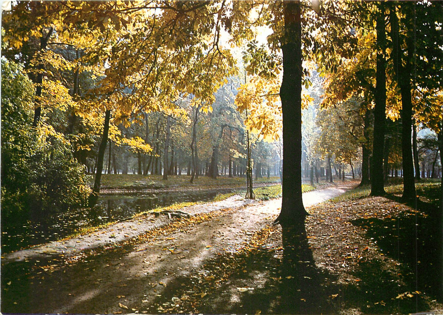 CPM Images de France Aurore au bois de Vincennes 