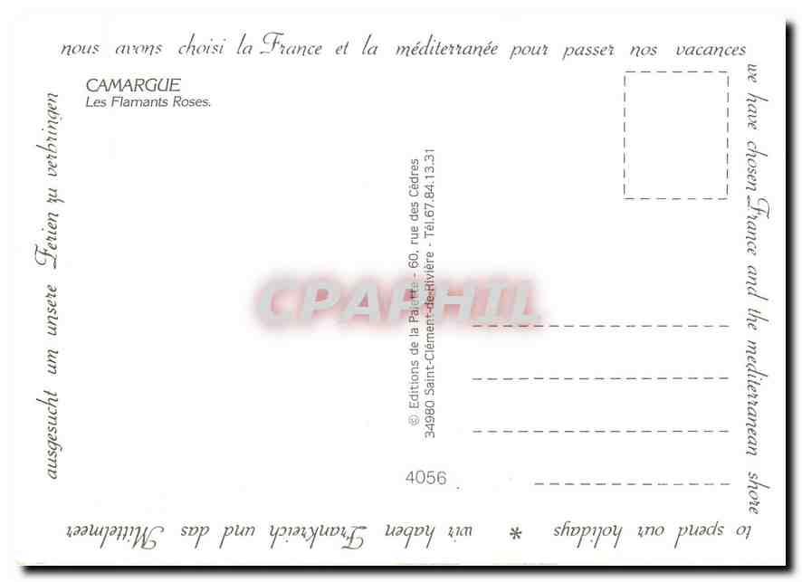 CPM Camargue Les Flamants Roses  — Back