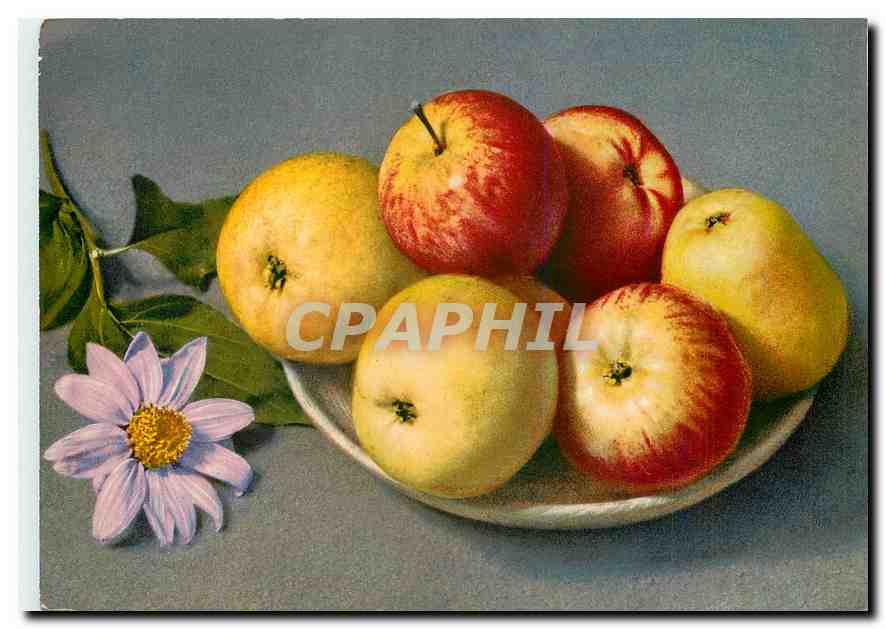 CPM Pommes