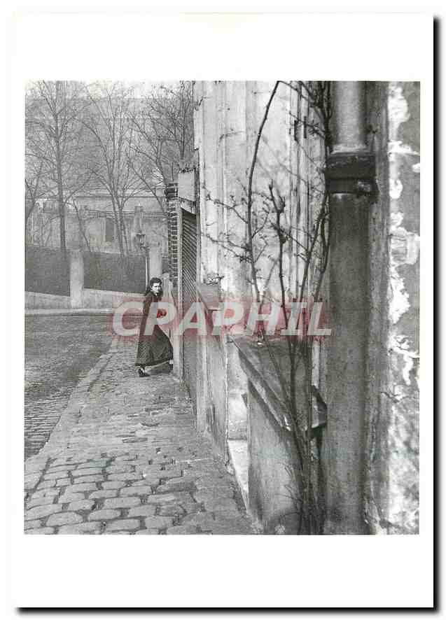 CPM Willi Ronis Rue de la Cloche Paris 