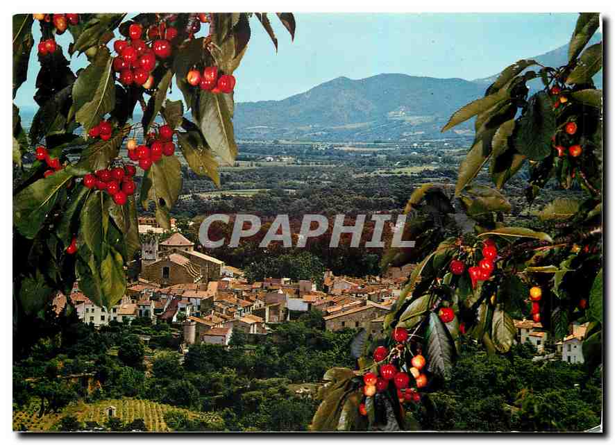 CPM Ceret Ville reputee pour ses cerises Vue generale 