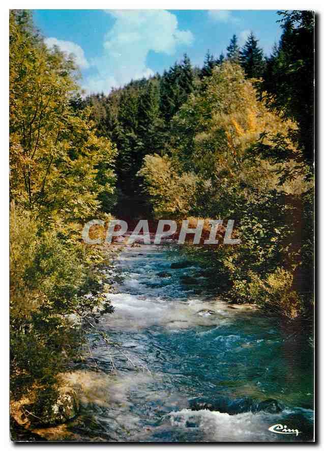 CPM Les beaux sites du Jura Franche Comte La vallee de la Seine en automne 