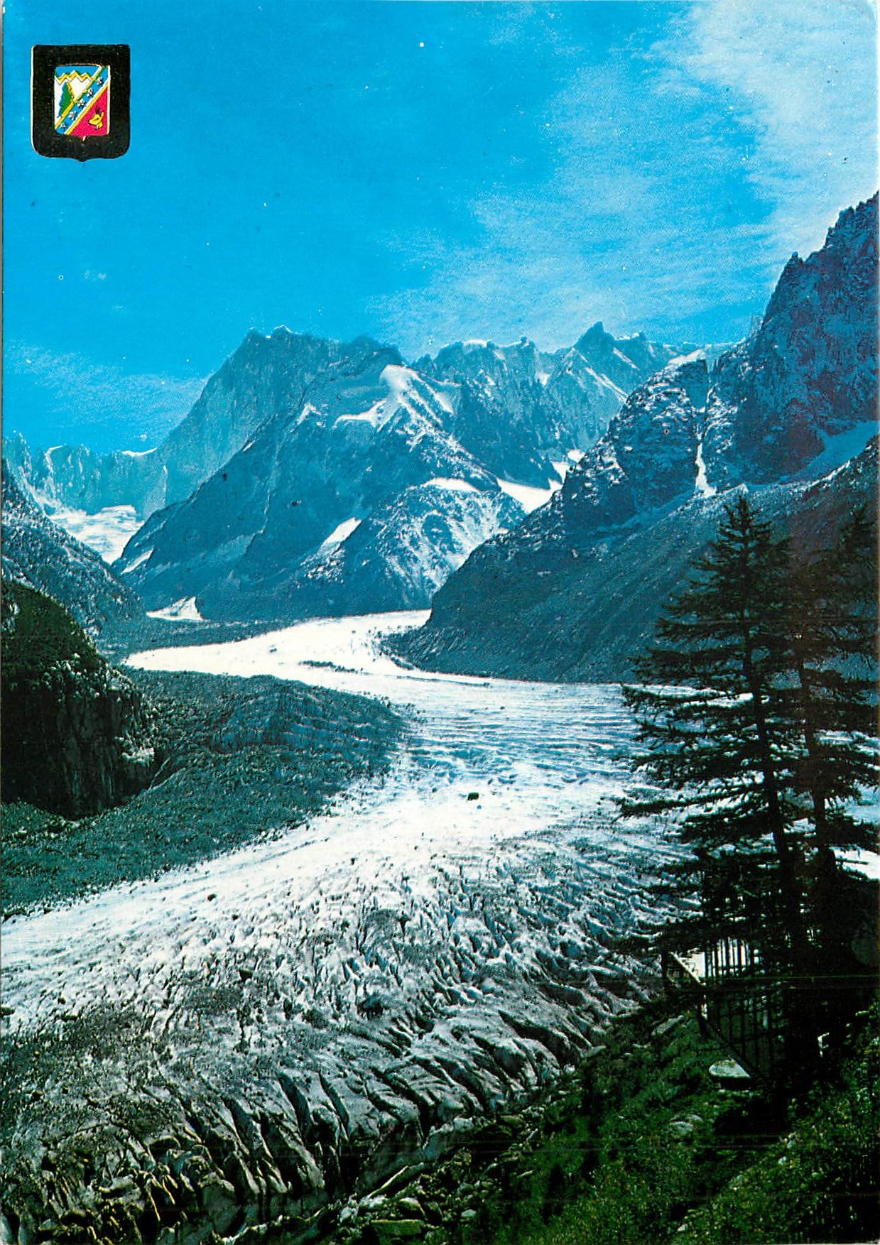 CPM Chamonix Les Grandes Jorasses 