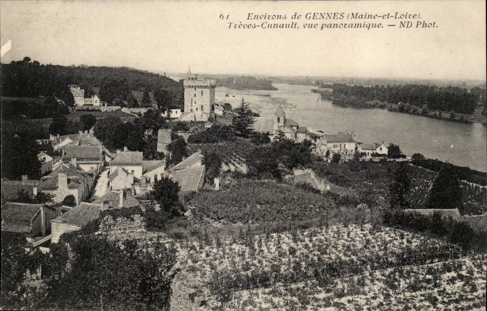 Treves-Cunault - Envirins de Gennes - Vue panoramique -CPA