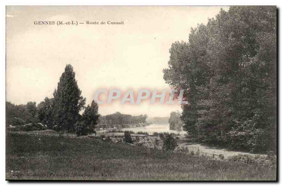 Gennes - Route de Cunault -CPA
