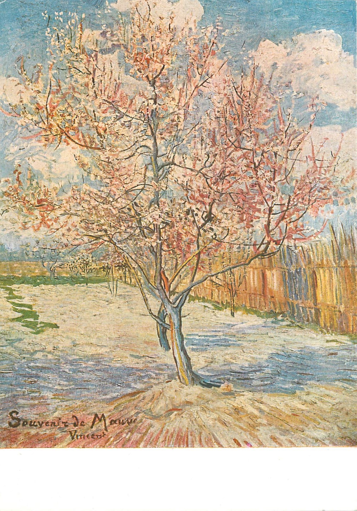CPM Van Gogh 1853 1890 L'Ar bre Heuri 