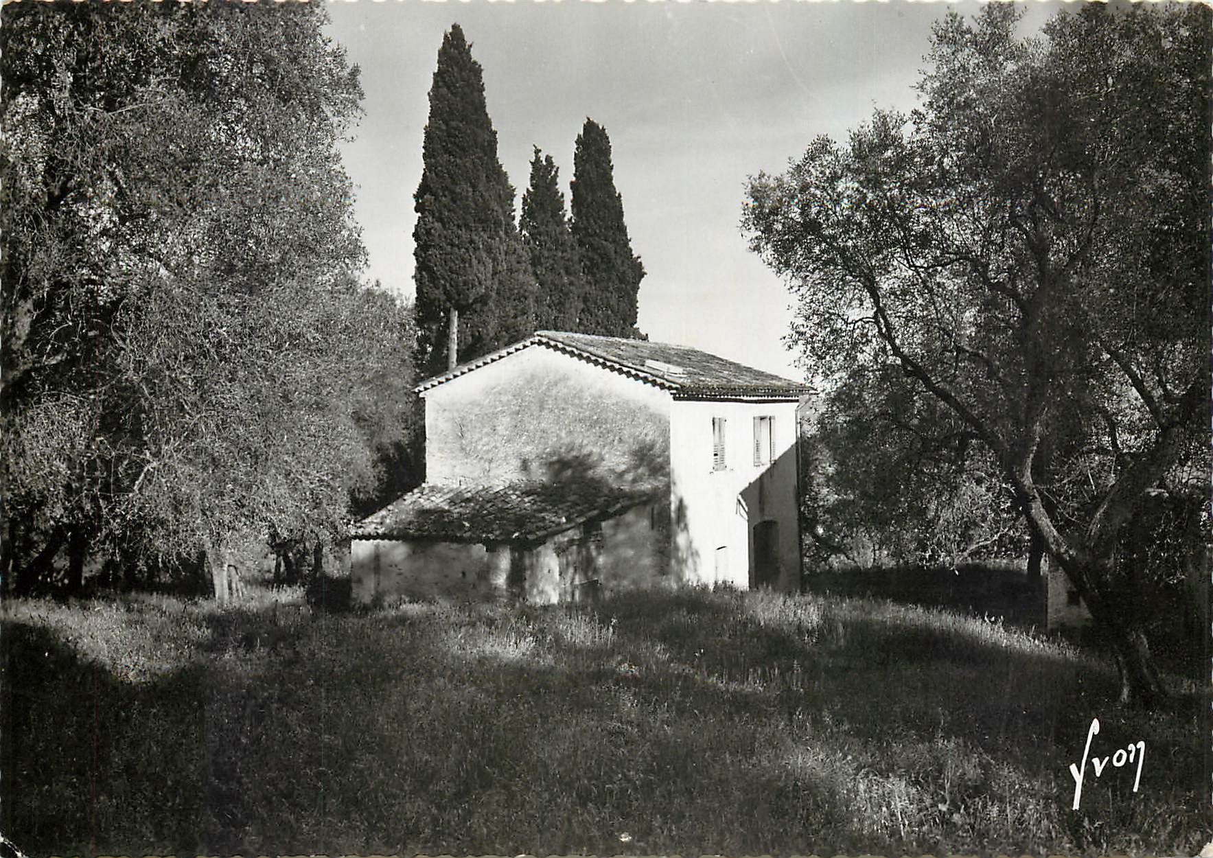 CPM Grasse Alpes Maritimes Au millieu d'oliviers et cypres mas des environs 