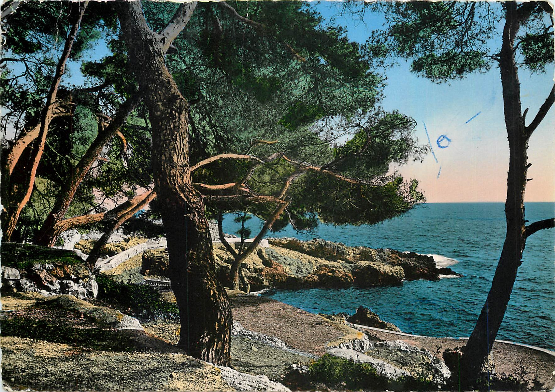 CPM Cote d'Azur Cap d'Ail Le bord de mer et la pinede 