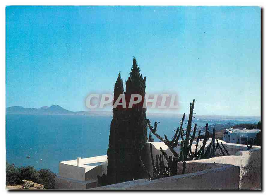 CPM Sidi Bou Said Vue sur le golfe 
