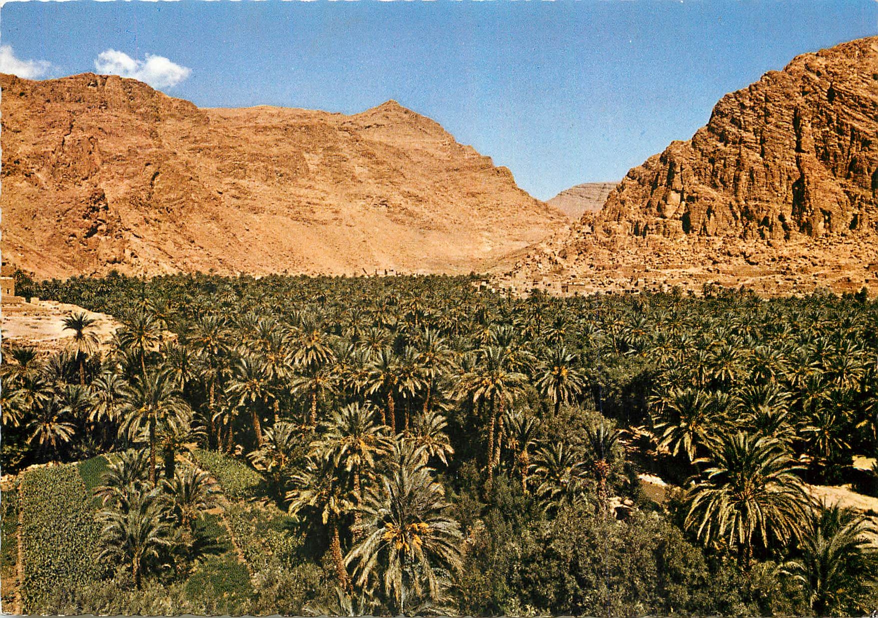 CPM Le Maroc pittoresque Tinerhir Gorges du Todra 