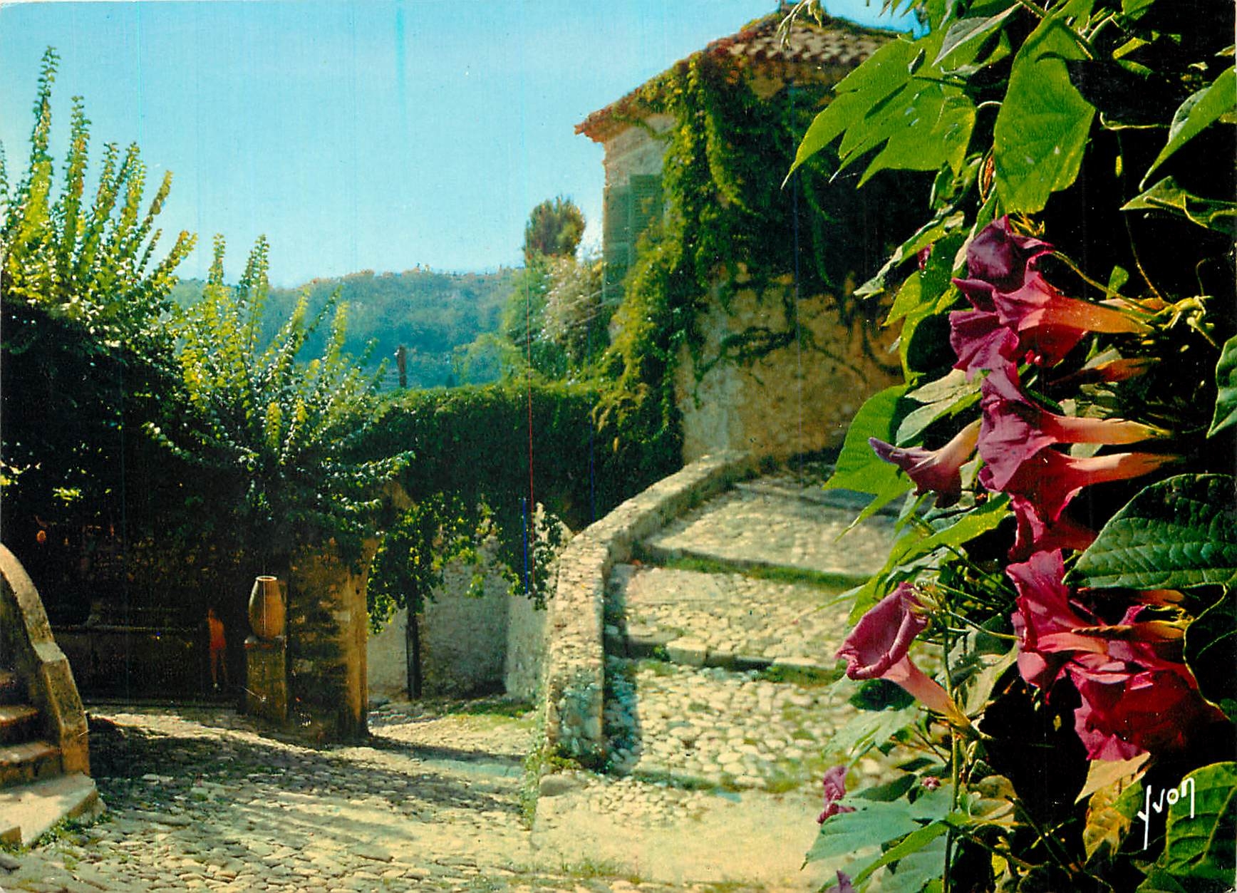 CPM La Cote d'Azur miracle de la nature Biot Alpes Maritimes 
