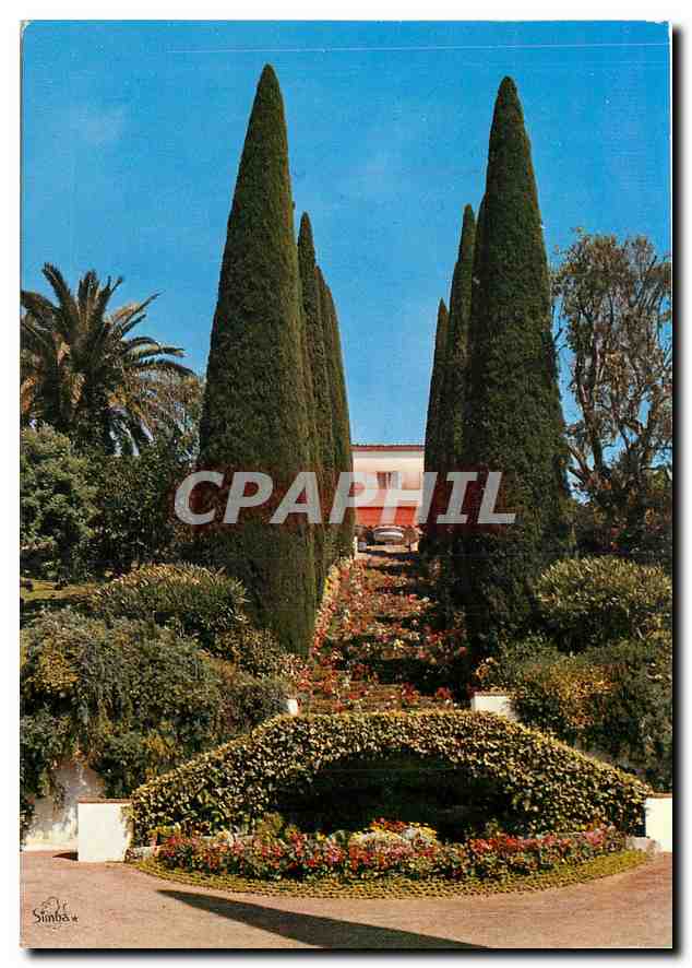 CPM Le Cannet Cote d'Azur Yakymour 