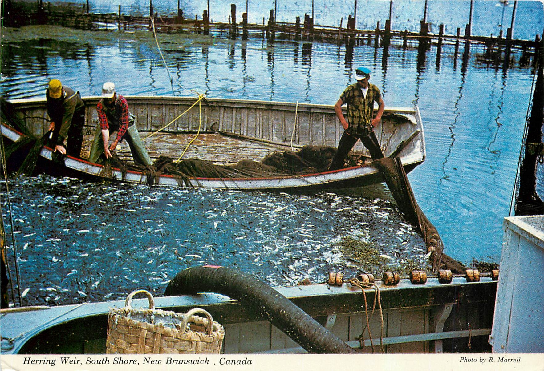 CPM Herring Weir South Shore New Brunswick Canada 