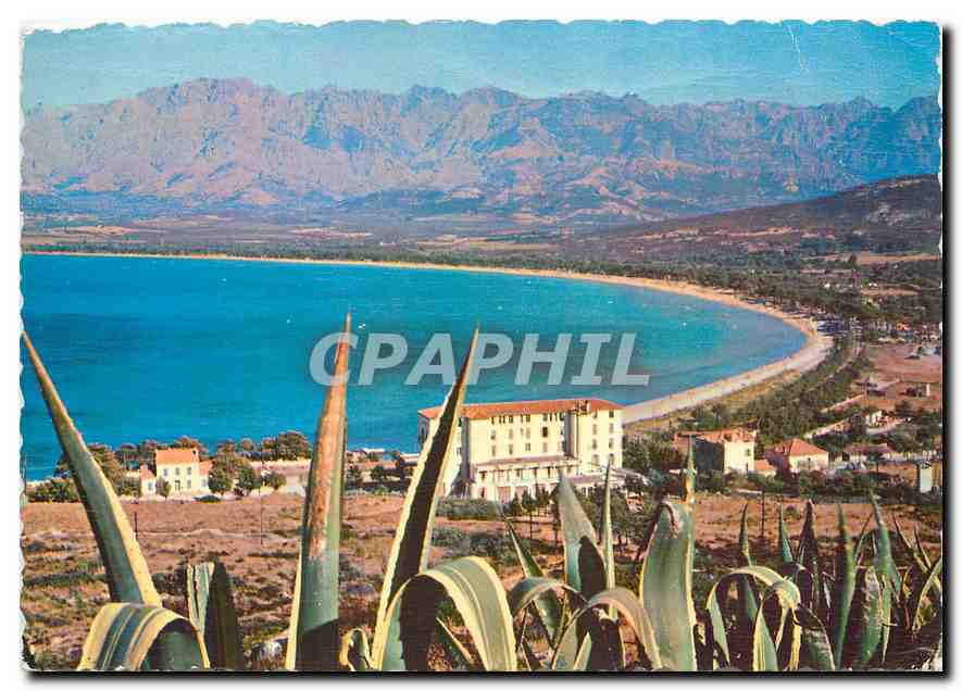 CPM Calvi La Plage et le fond du Golfe 