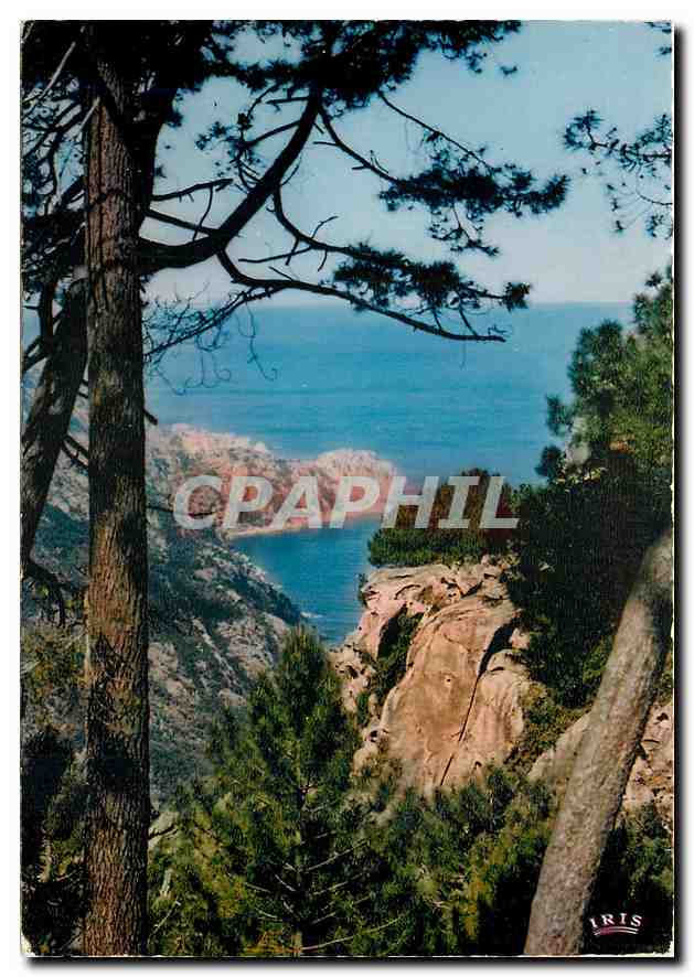 CPM Des montagnes de Porphyres roses qui plongent dans la mer telles sant les Calanche de Piana 
