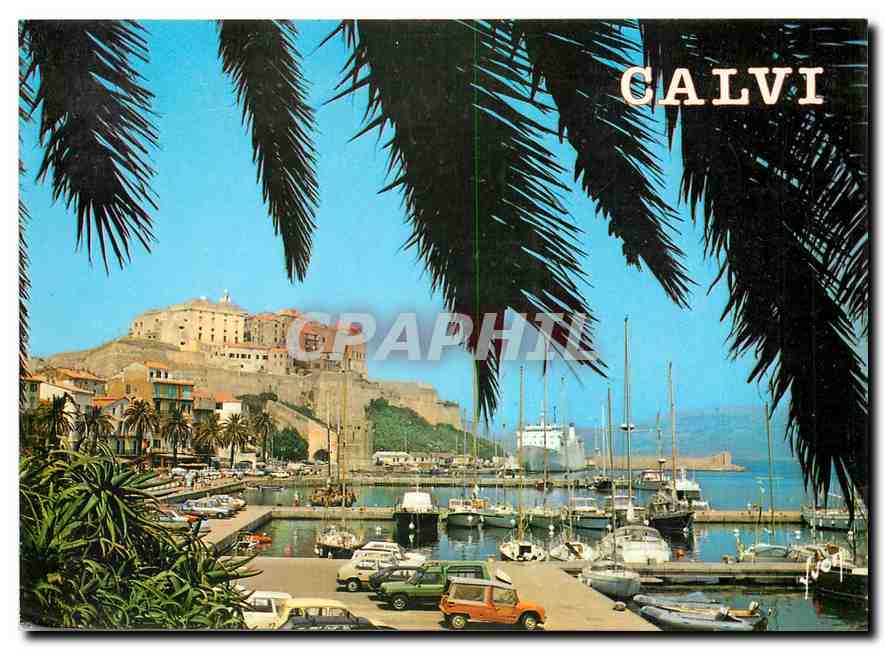 CPM La Corse Oasis de Beaute Calvi Corse 