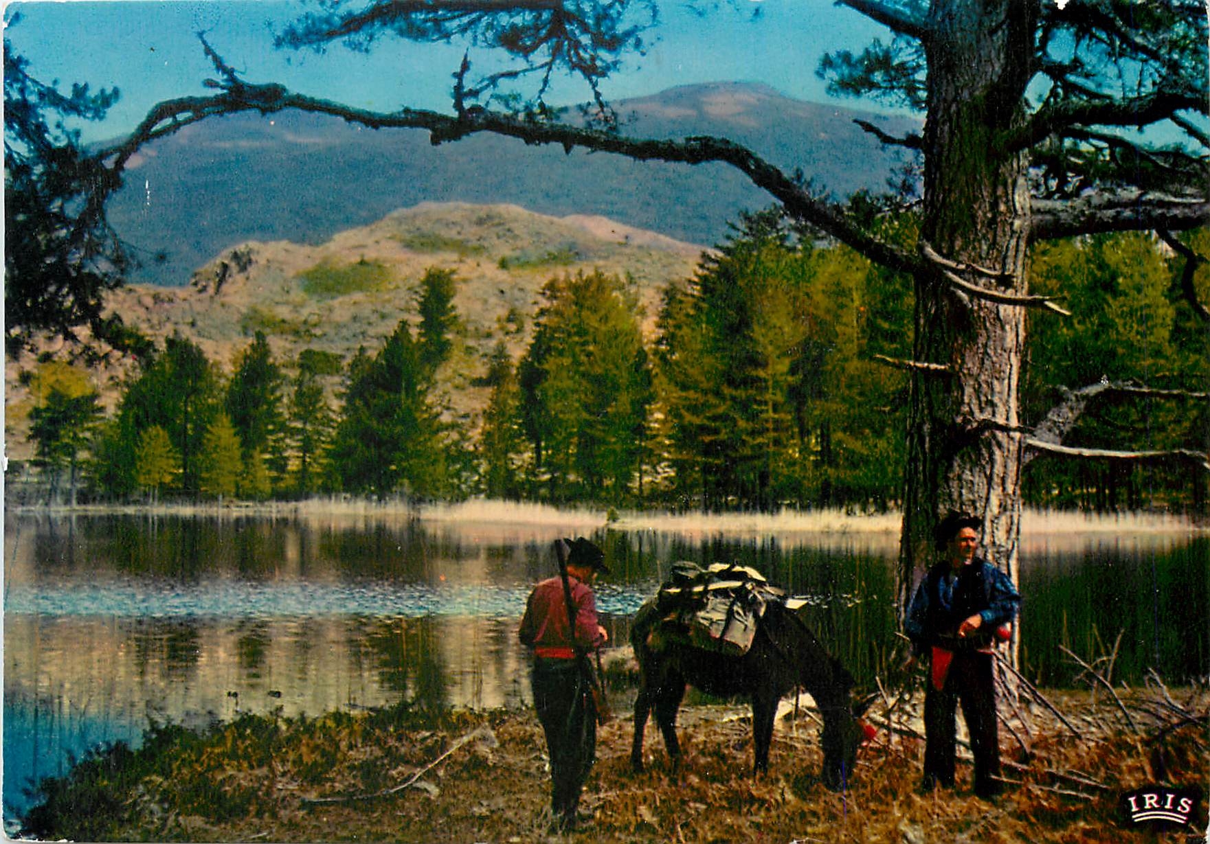 CPM Charmes et Couleurs de la Corse Lac de Crena Ane Mule