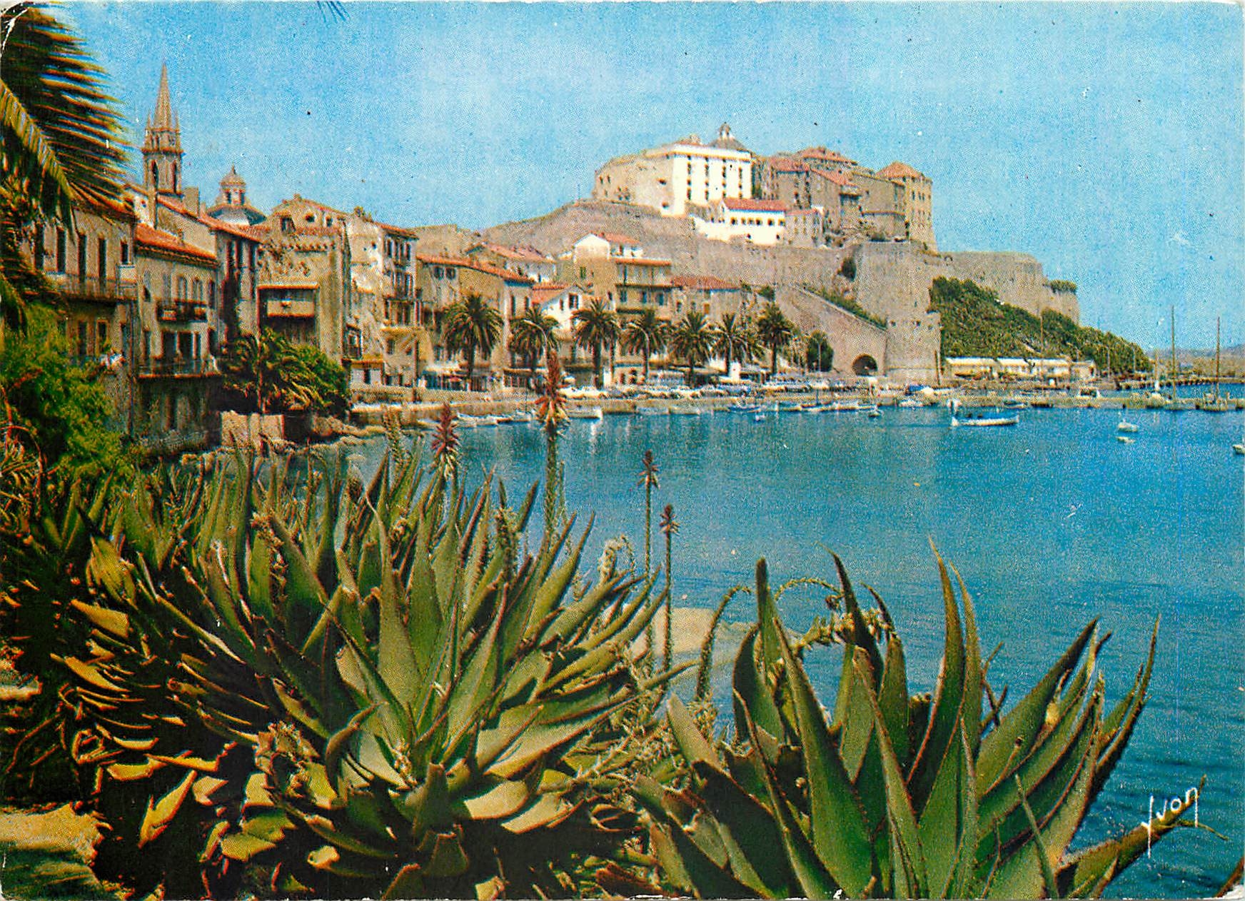 CPM La Corse oasis de beaute Calvi La Citadelle dominant le port 