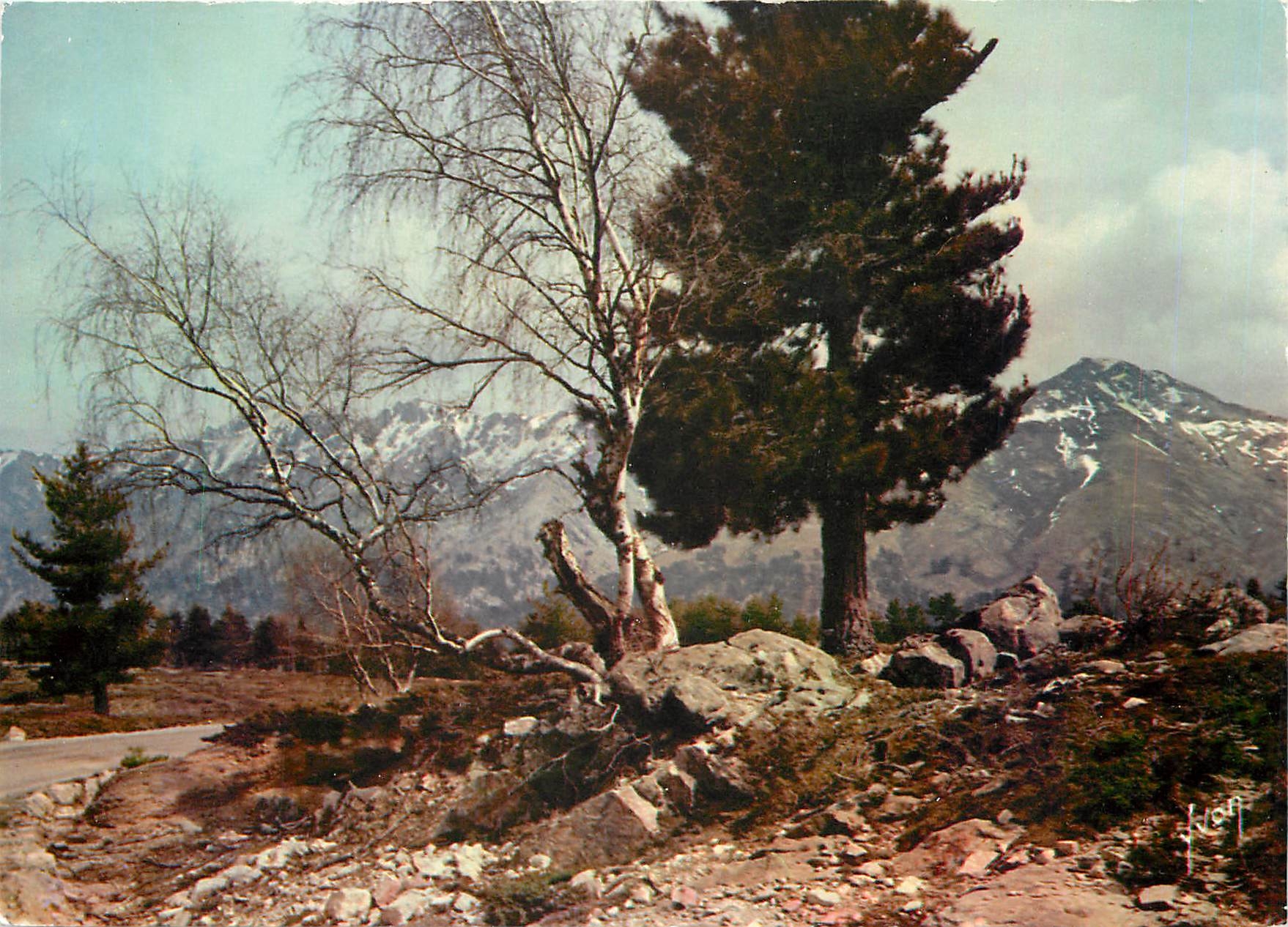 CPM Couleurs et Lumiere de France La Corse oasis de Beaute Col de Vergio 