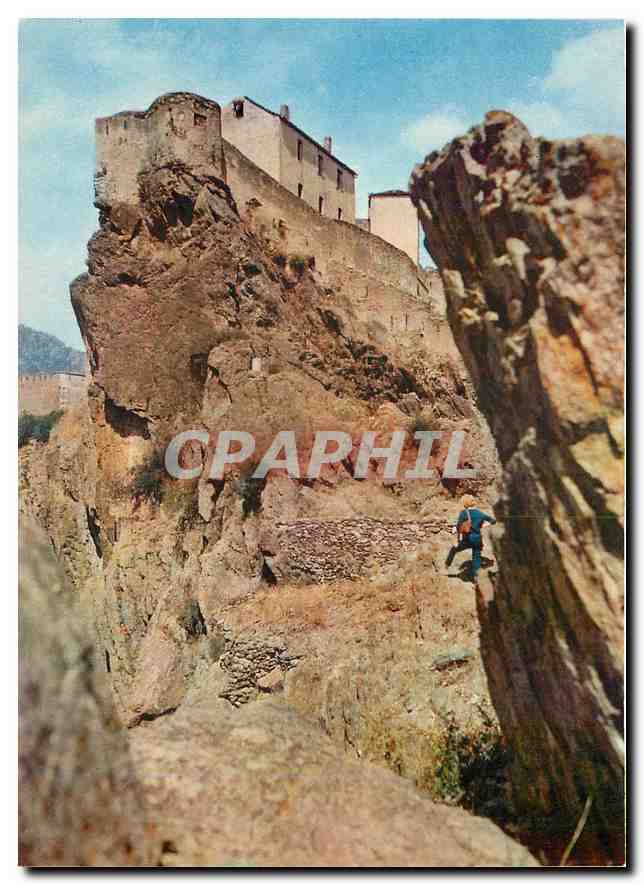 CPM Corse Ile de Beaute Corte La Citadelle 