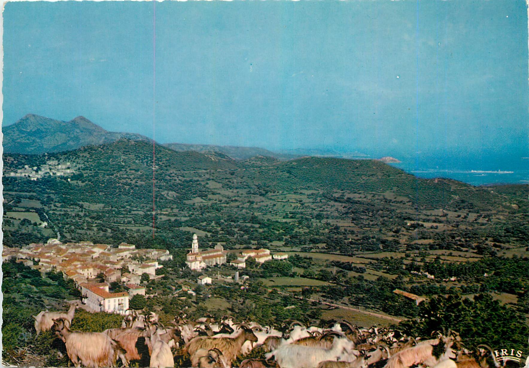 CPM Charmes et Couleurs de la Corse Calenzana Vue generale 