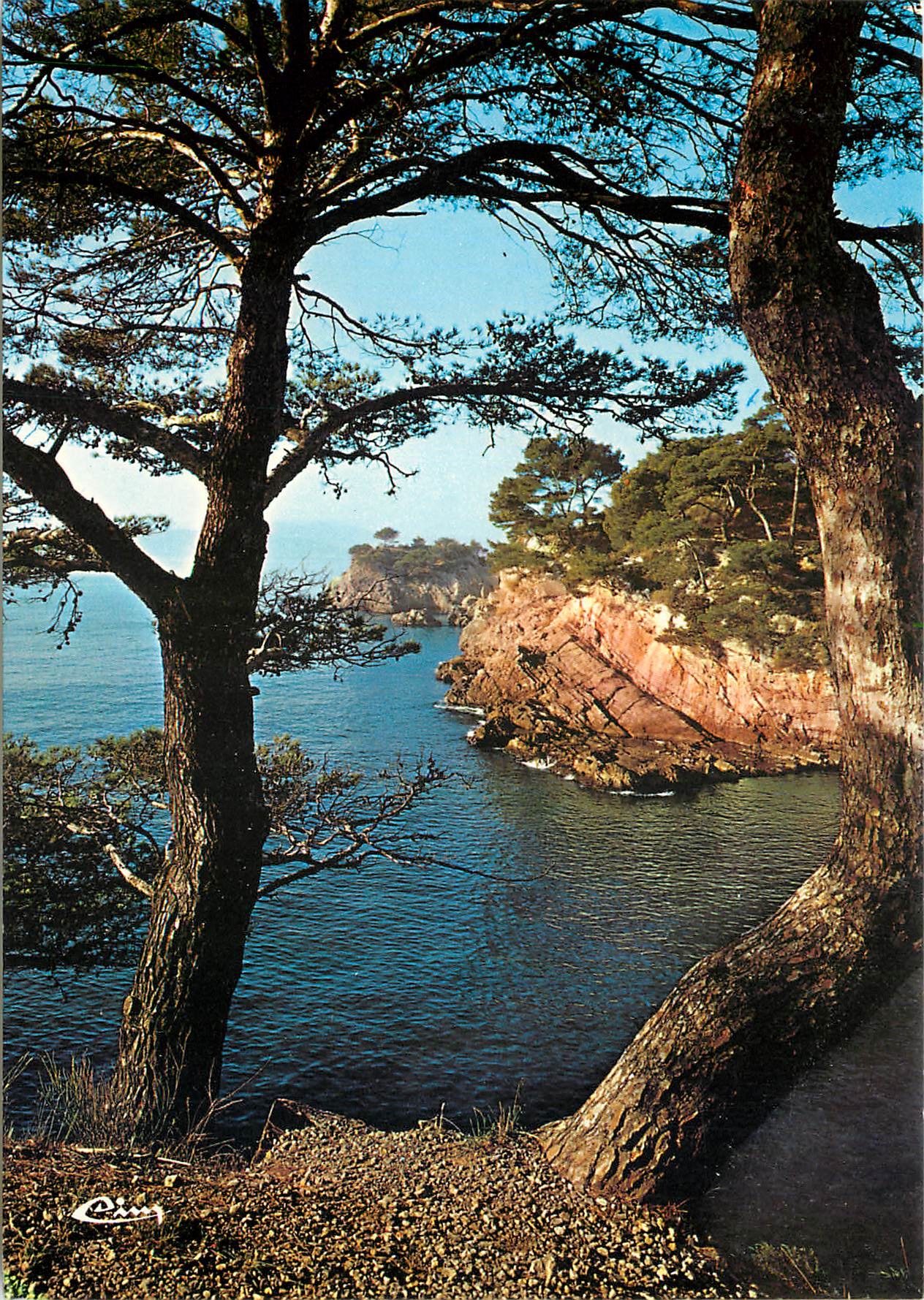 CPM Corse Ile de Beaute Paradis d'ete Region de Piana 
