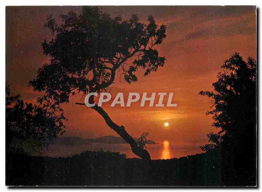 CPM Corse Ile de Beaute Paradis d'ete Coucher de soleil sur la Pointe de Revellata 