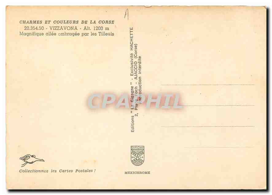 CPM Vizzavona Magnifique allee embragee par les Tilleuis  — Rückseite