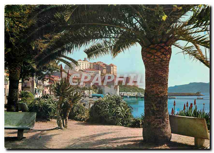 CPM Corse Ile de Beaute Calvi Echappee sur la Citadelle 