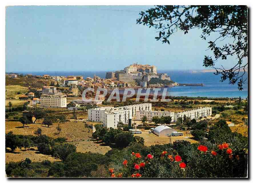 CPM Ile de Beaute La Corse Calvi la Ville nouvelle et la Citadelle 