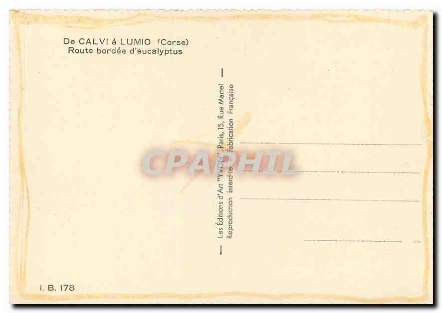 CPM De Calvi a Lumio Corse Route bordee d'eucalyptus  — Back