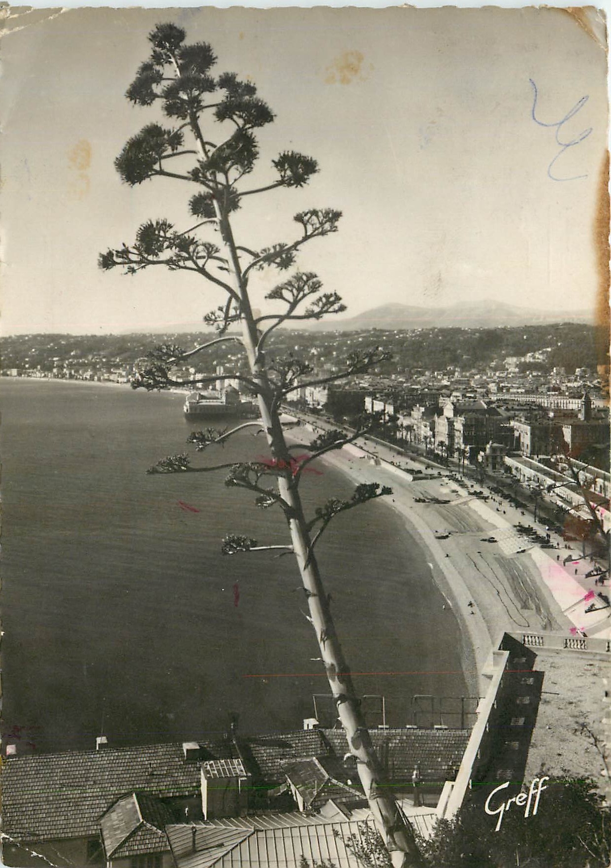 CPM Nice Alpes Maritimes La Baie des Anges 